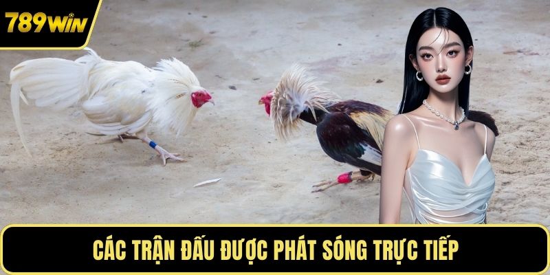 Các trận đấu được phát sóng trực tiếp