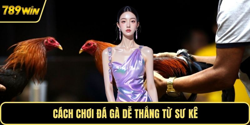 Cách chơi đá gà dễ thắng từ sư kê