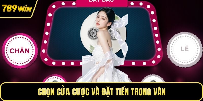 Chọn cửa cược và đặt tiền trong ván