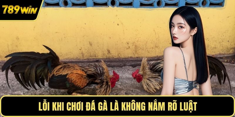 Lỗi khi chơi đá gà là không nắm rõ luật