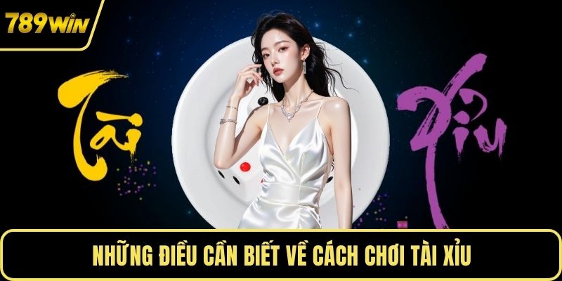 Những điều cần biết về cách chơi tài xỉu
