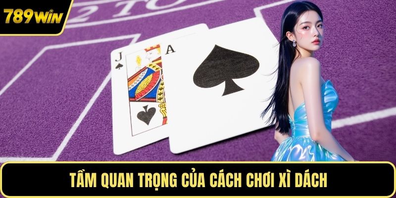 Tầm quan trọng của cách chơi xì dách