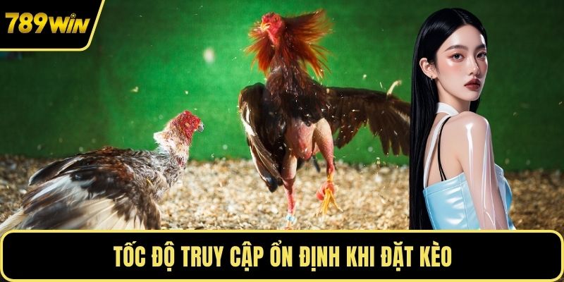 Tốc độ truy cập ổn định khi đặt kèo