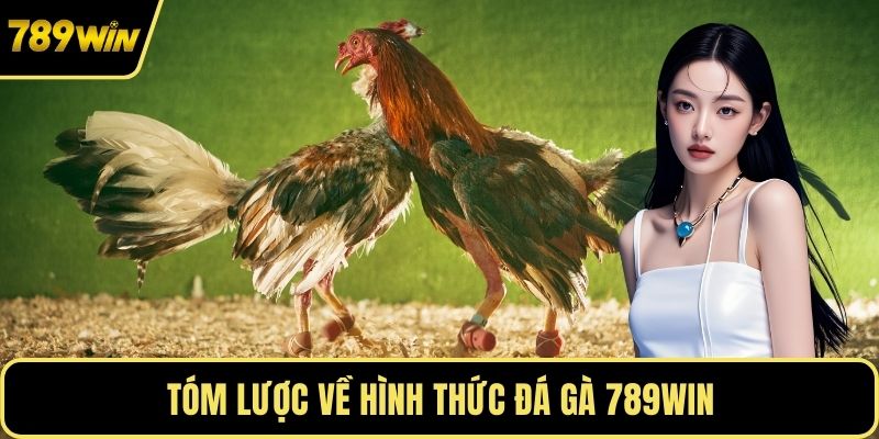 Tóm lược về hình thức đá gà 789WIN