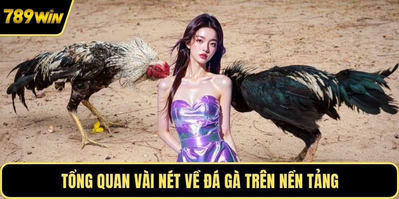 Tổng quan vài nét về đá gà trên nền tảng