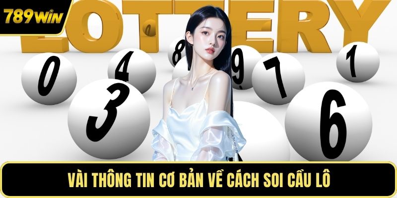 Vài thông tin cơ bản về cách soi cầu lô